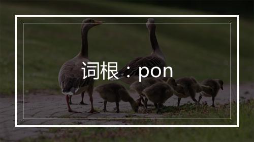 词根：pon