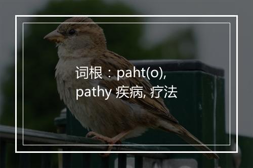 词根：paht(o), pathy 疾病, 疗法