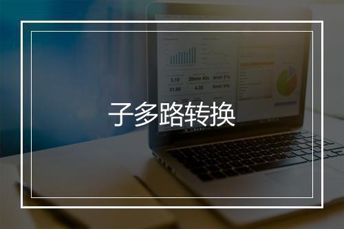 子多路转换的英文