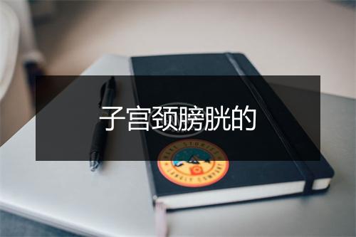 子宫颈膀胱的的英文