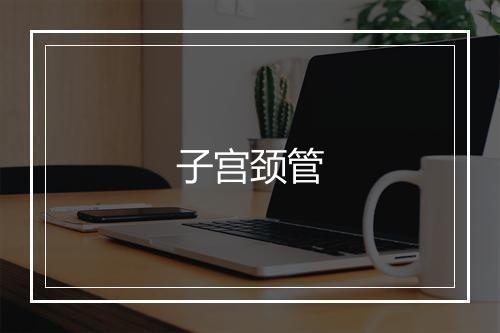 子宫颈管的英文