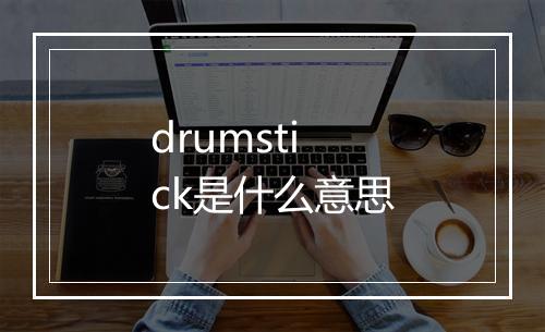 drumstick是什么意思