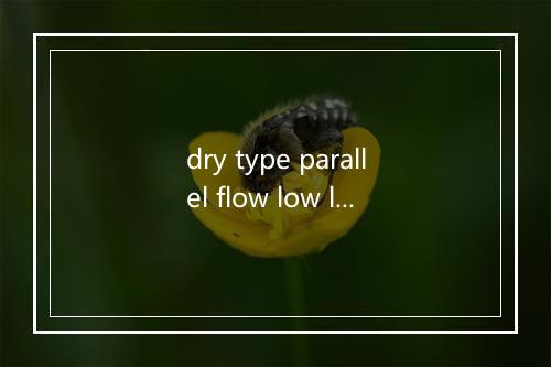 dry type parallel flow low lying condenser是什么意思