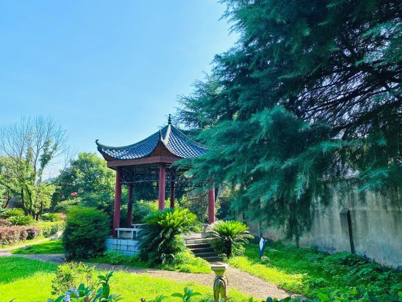 2022年高考英语作文模板句型 高考英语作文万能必背句型