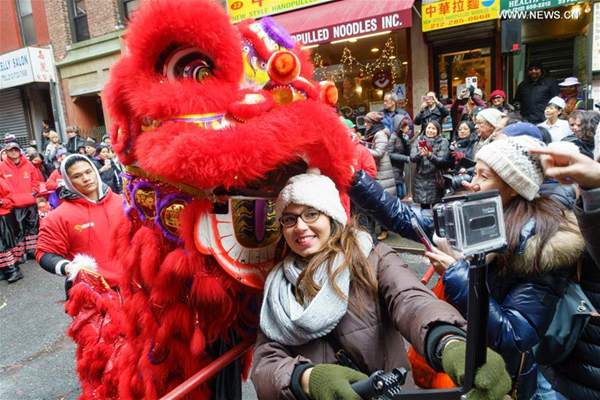 Spring Festival becomes bridge for cultural exchange between