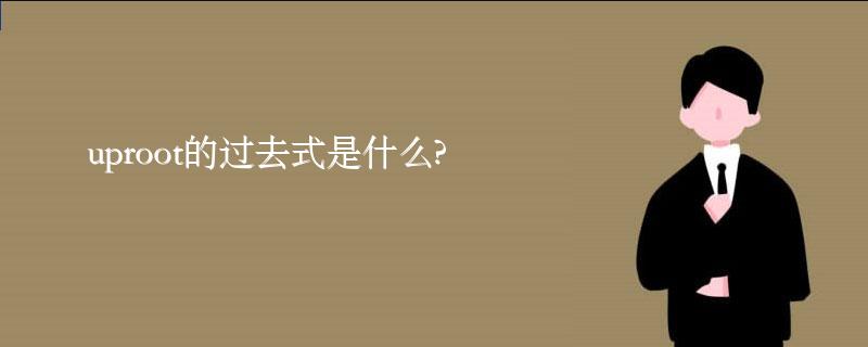 为何火车座位如此丑陋不堪？