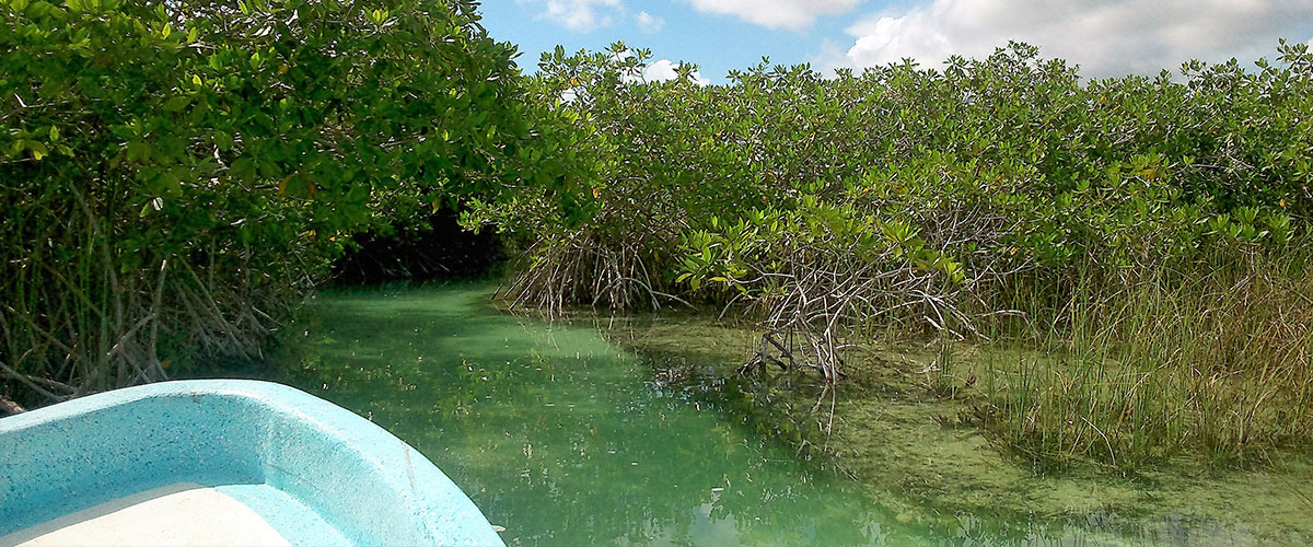 Internatio<em></em>nal Day for Biological Diversity