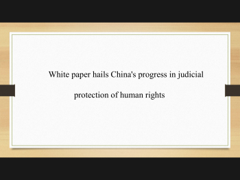 白皮书为中国司法领域人权保障的进展点赞