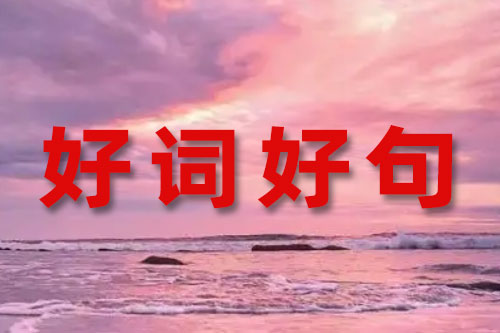 英语好词好句摘抄：很现实又很扎心的句子